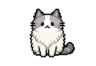 比心的小猫