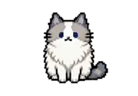 开心的小猫