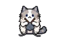 织毛衣的小猫