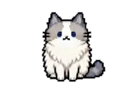 打滚的小猫